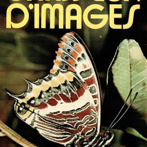 chasseur d'images